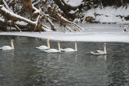 Knobleharjevo 2012 - Fotografski natečaj Občine Škocjan 2012 7